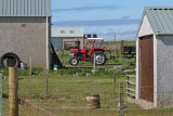 Massey Ferguson 135