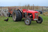 Massey Ferguson 35