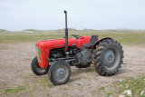 Massey Ferguson 35X