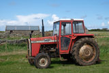 Massey Ferguson 265