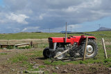 Massey Ferguson 135
