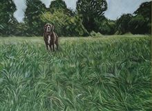 Will in the cornfields - NOT FOR SALE