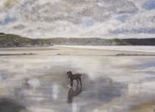 Brooding Broad Haven - NOT FOR SALE