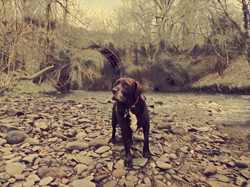 Will at Sirhowy