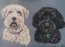 Brodie & Dylan - SOLD