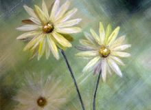 Daisies 2