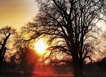 Sunset at Forest of Arden