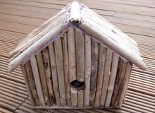 Bird house