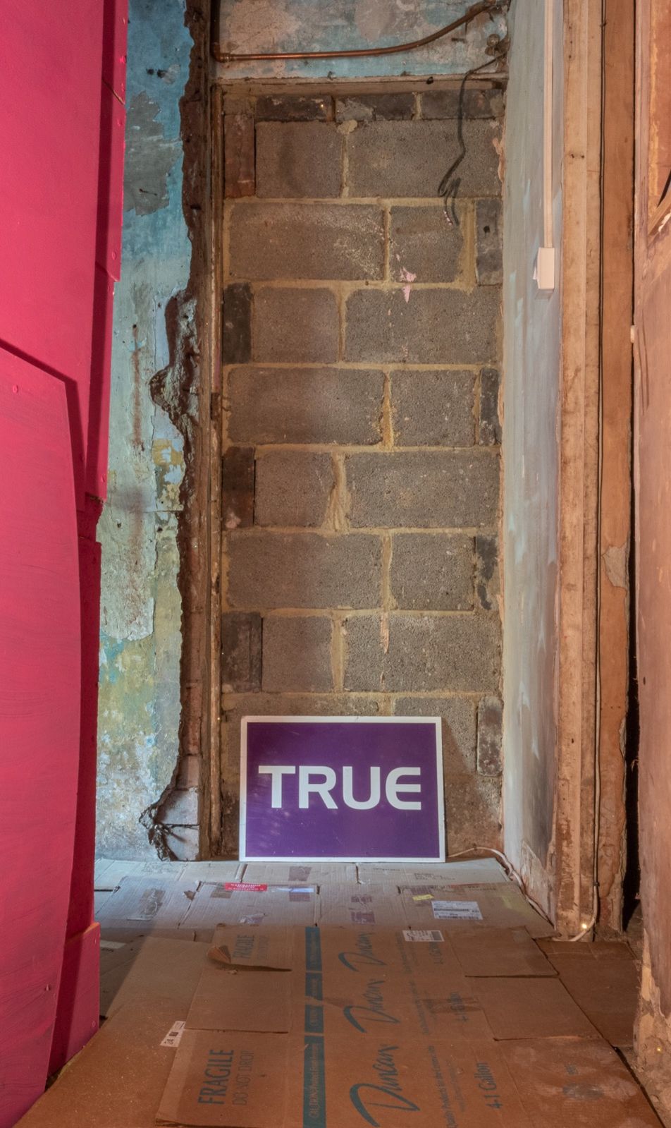 True 2019