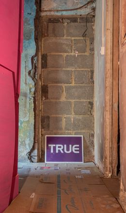True 2019