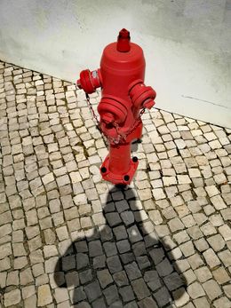 Self Portrait With Red Hydrant (Cascais) 2019