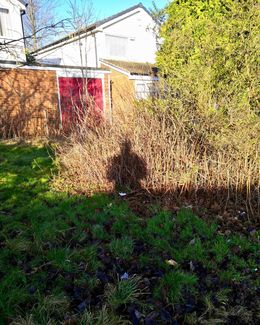 Self Portrait in the garden of the man with the orange car 2019
