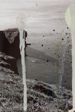 No.1 2017