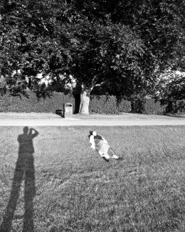 Self Portrait, Birmingham 2017