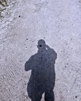 Self Portrait, Sheep Shit 2018