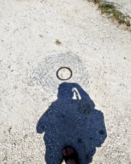 Self Portrait, Halo 2018