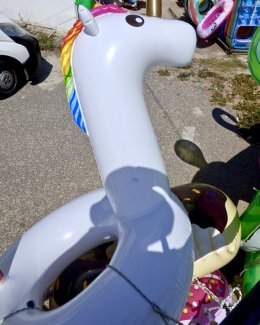 Self Portrait, with Palaiokastritsa Unicorn 2018