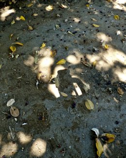 Self Portrait, Pl. Leonida Vlachou 2018