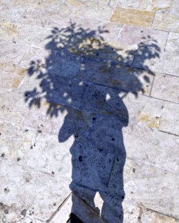Self Portrait as Tree 2018