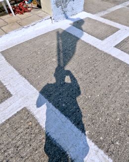 Self Portrait as Flagpole 2018