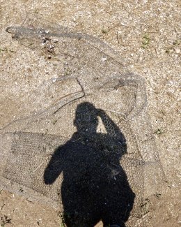 Self Portrait in Chicken Wire 2018