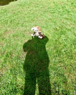 Self Portrait with Pedro 2018