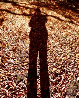 Self Portrait on Beech Leaves 2018
