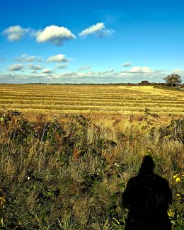 Self Portrait as if I'm in a Paul Nash Painting 2018