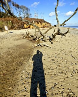 Self Portrait as if I'm in a Sidney Nolan Painting 2018