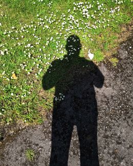 Self Portrait as if I'm Trying to Pull all Your Daisies 2019