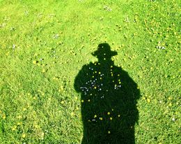 Self Portrait Pulling my Daisies and Buttercups 2019