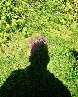 Self Portrait as if I'm going to San Francisco, Plas Bach 2019