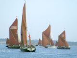 Thames sailing barges jostle for position.