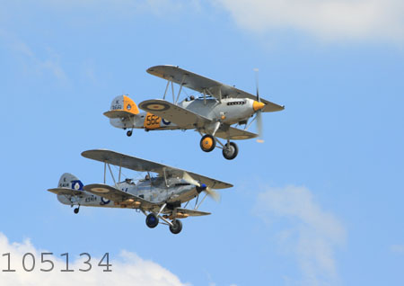 Hawker biplanes, Hind and Nimrod