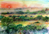 Elephants - Thula Thula