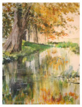 Reflections - Woodland Gardens Bushy Park