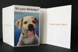 Maddie Birthday card