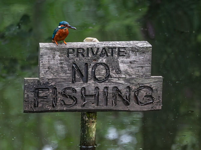 8G9W1506-Enhanced-NR