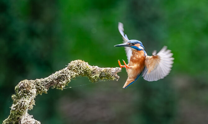 8G9W1637-Enhanced-NR