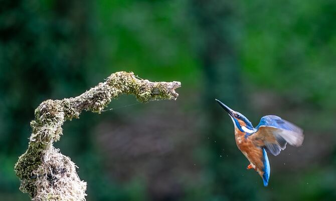 8G9W1722-Enhanced-NR