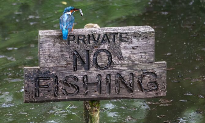 8G9W1762-Enhanced-NR