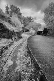 IMG 0079