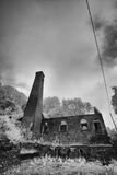 IMG 0094