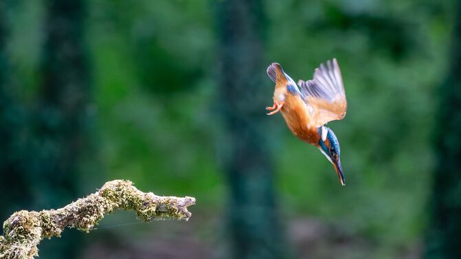 SB1D5957-Enhanced-NR