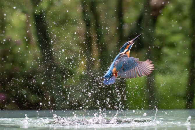 SB1D6144-Enhanced-NR