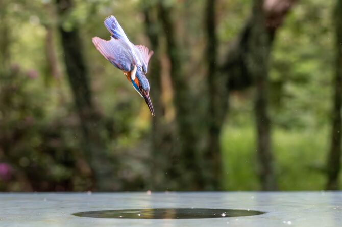 SB1D6436-Enhanced-NR