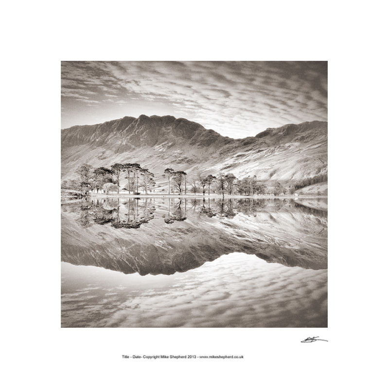 PP47 The Buttermere Pines