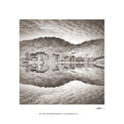 PP47 The Buttermere Pines