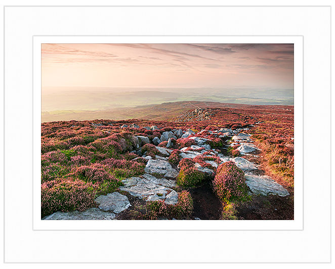 CPLF5 - Walking through Heather