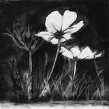 COSMOS